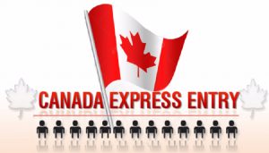 Read more about the article Introduce new Express Entry application management system